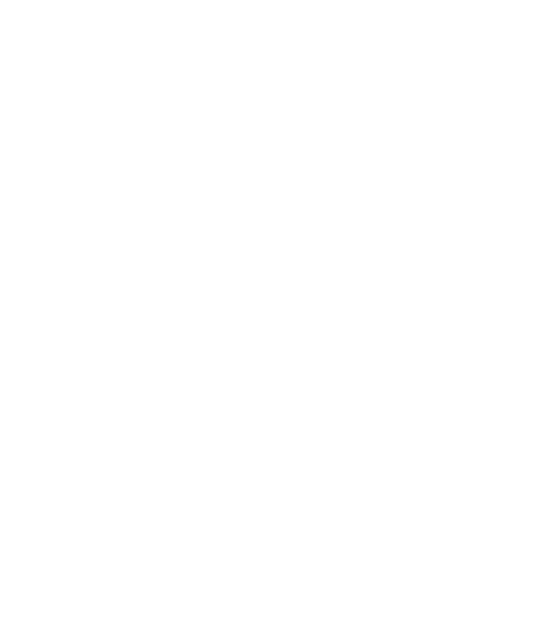 APEX Formula Consulting